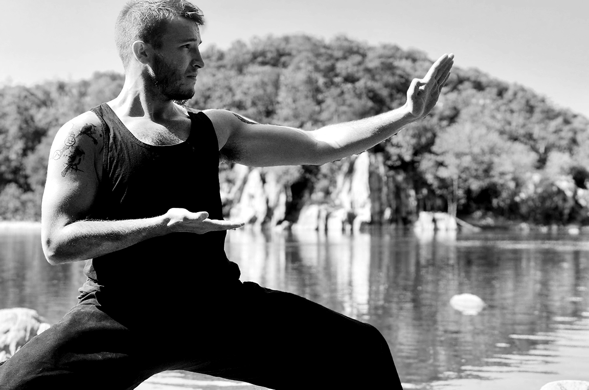 Image of a man in a back stance martial arts posture.